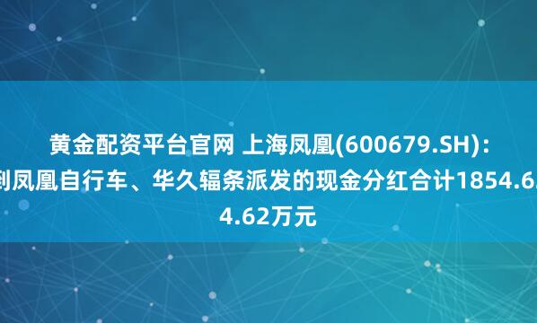 黄金配资平台官网 上海凤凰(600679.SH)：已收到凤凰自行车、华久辐条派发的现金分红合计1854.62万元