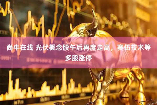 尚牛在线 光伏概念股午后再度走高，赛伍技术等多股涨停