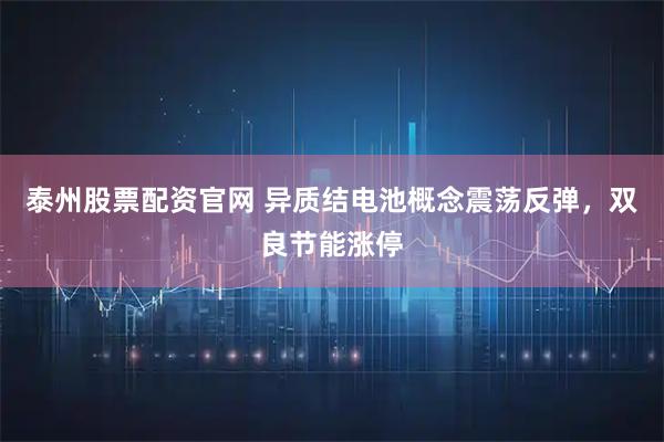 泰州股票配资官网 异质结电池概念震荡反弹，双良节能涨停