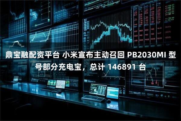 鼎宝融配资平台 小米宣布主动召回 PB2030MI 型号部分充电宝，总计 146891 台